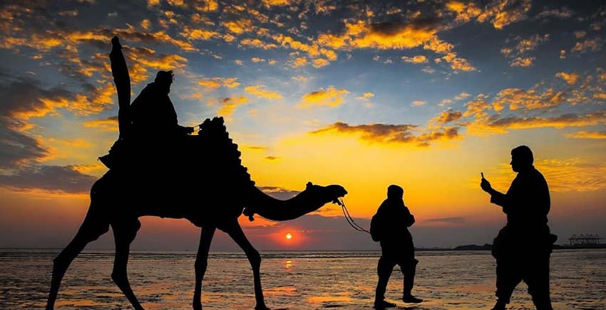 Person taking a camel ride
