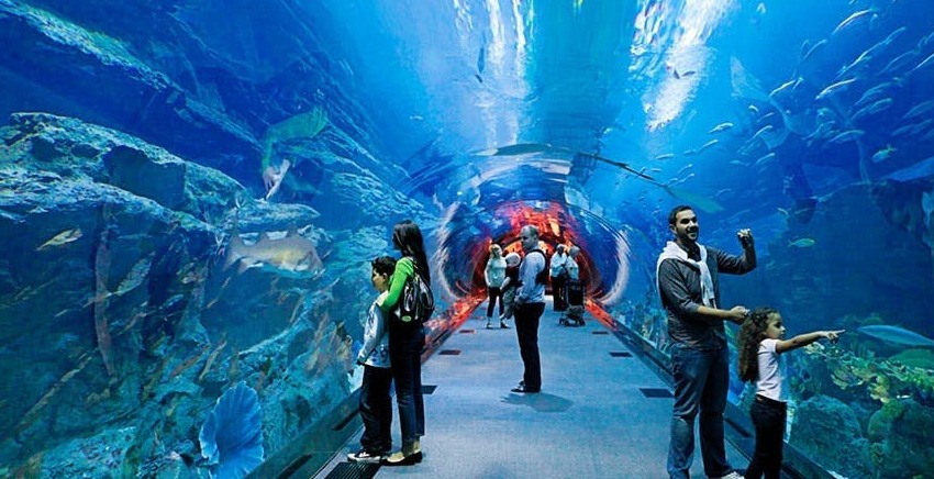 Dubai Aquarium