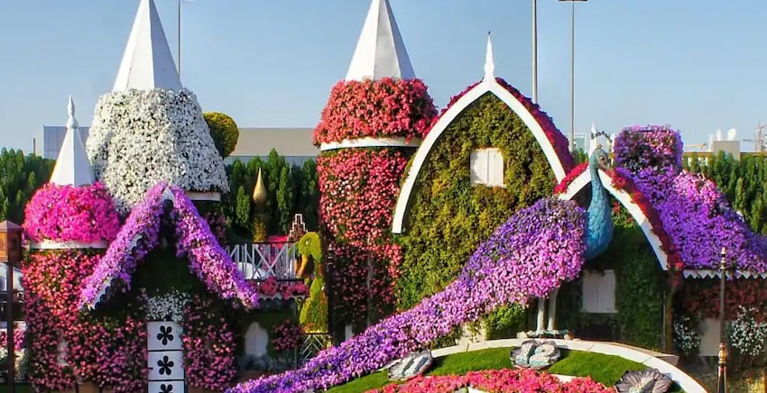 Dubai-Miracle-Garden