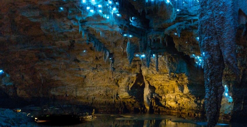 Waitomo-Glowworm-Caves-New-Zealand