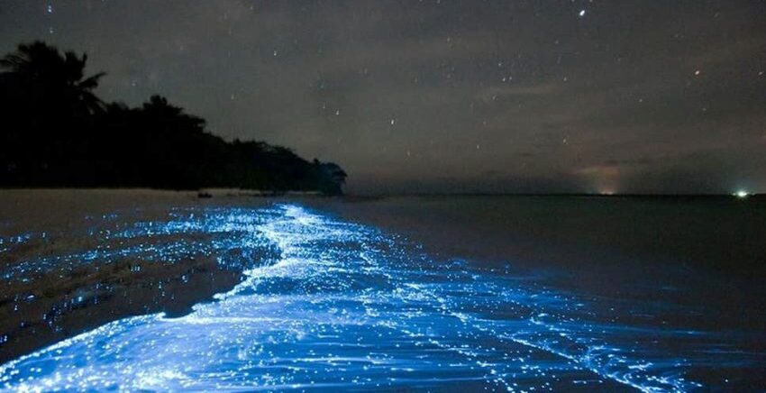 maldives-glowing-beach